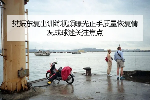 樊振东复出训练视频曝光正手质量恢复情况成球迷关注焦点