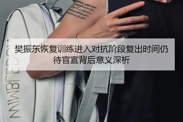 樊振东恢复训练进入对抗阶段复出时间仍待官宣背后意义深析